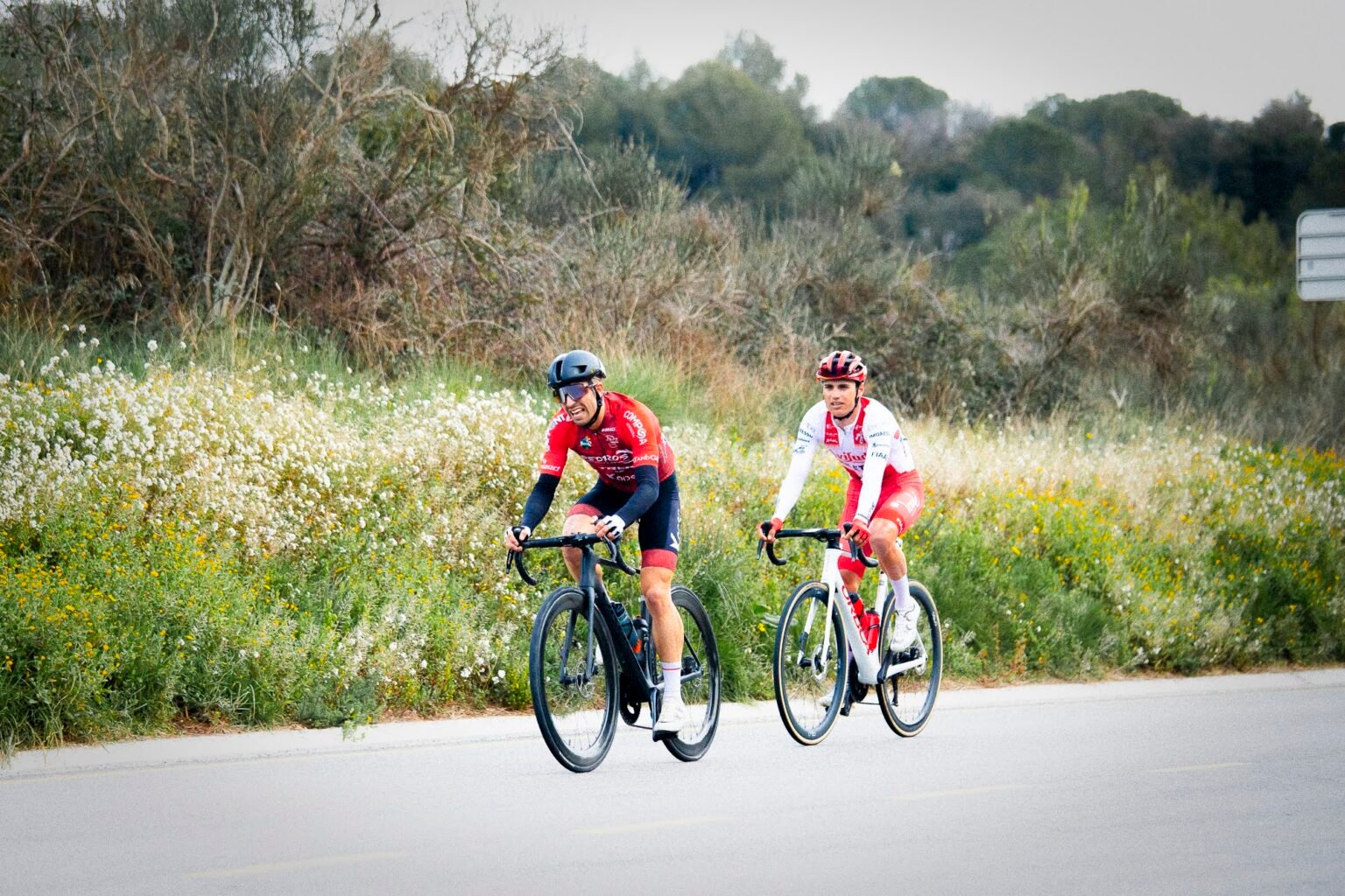 Ciclistas entrenando en carretera