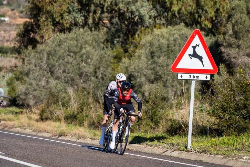 Ciclista en competición